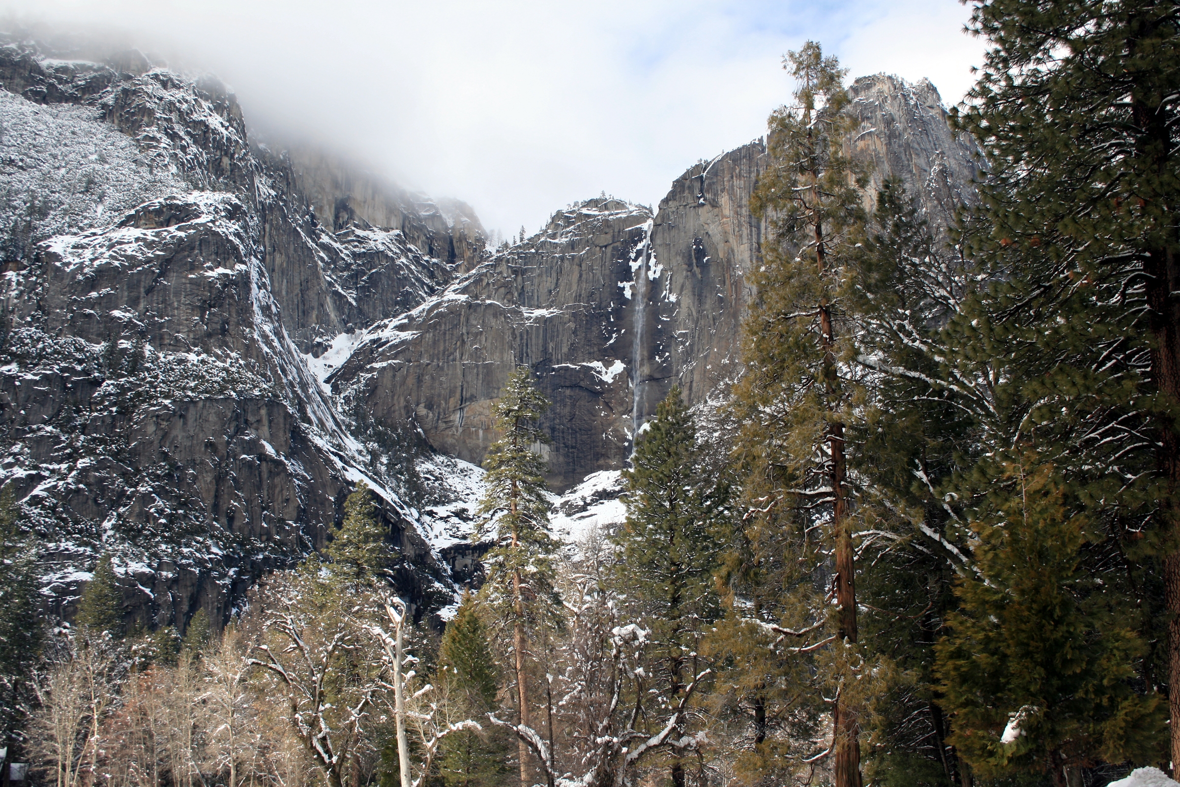 Исчезновение йосемити. Yosemite Falls роза. Rose Yosemite Falls.