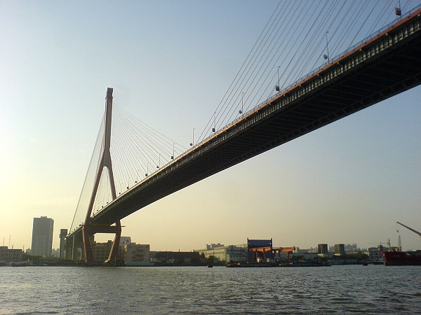 File:Yangpu Bridge, looking from under the bridge.jpg