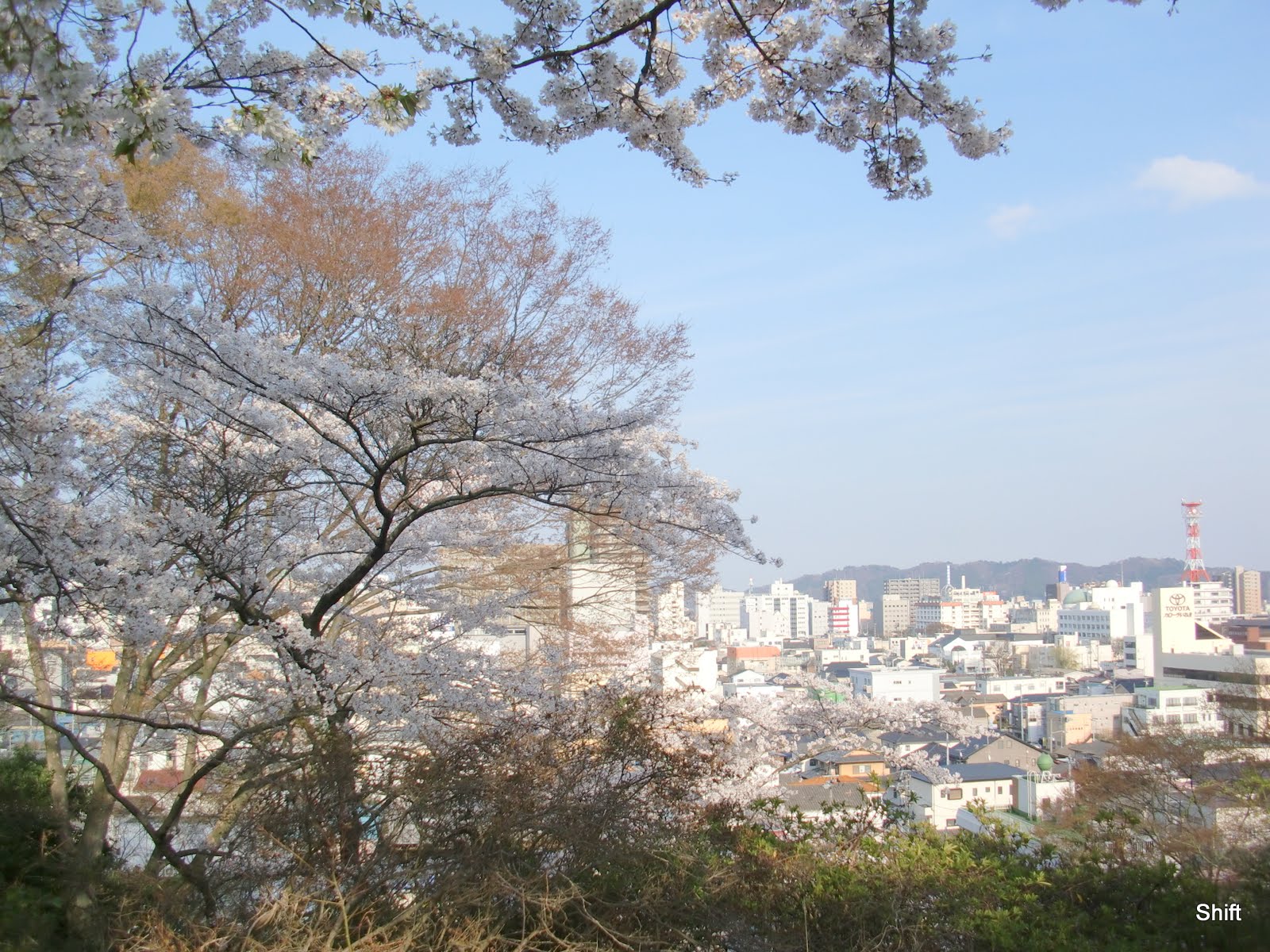 File 福島県 いわき駅近くの松ヶ岡公園にて 小高い岡の上にちょっとした遊園地があり 多くの桜に包まれていました 遊 Panoramio Jpg Wikimedia Commons