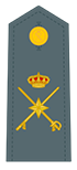 Знак бригадного генерала