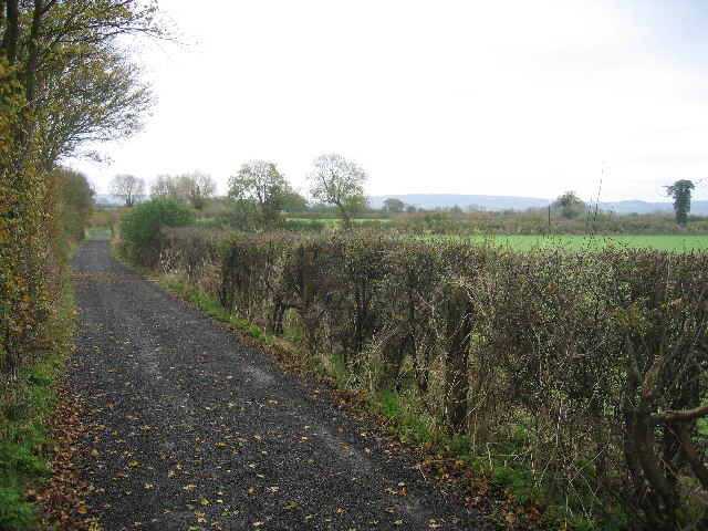 File:A gravel section of the Midshires way - geograph.org.uk - 88214.jpg