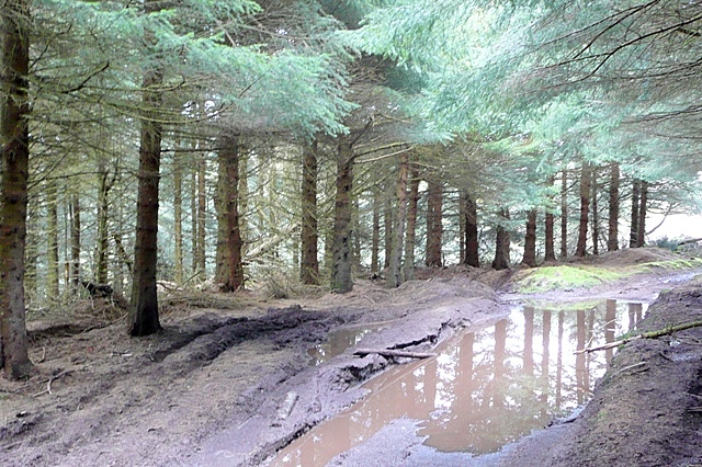 File:Above The Riggles - geograph.org.uk - 1300580.jpg