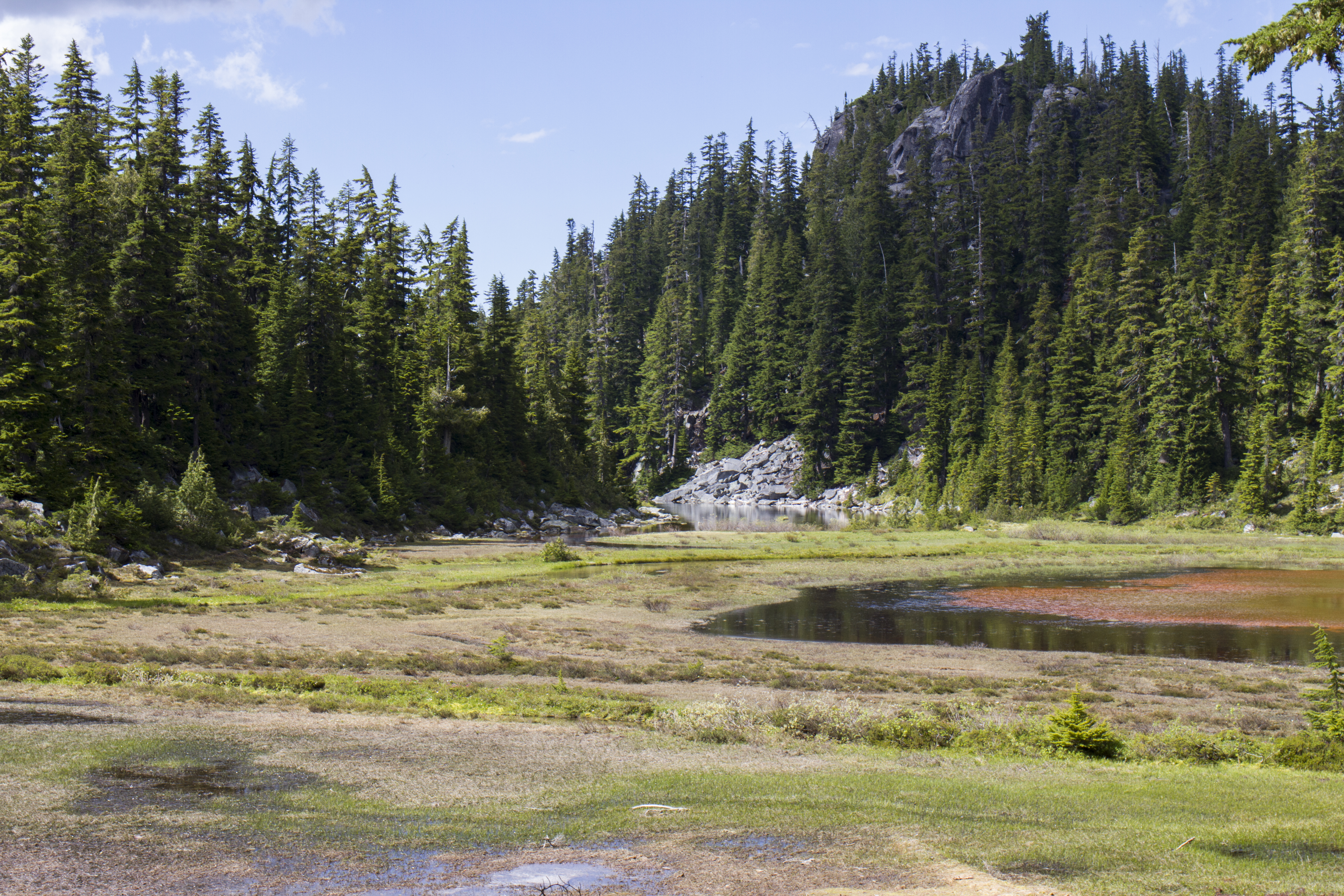 Alturas Lake and Meadow in Necklace Valley%2C Mt Baker Snoqualmie National Forest %2832111921335%29