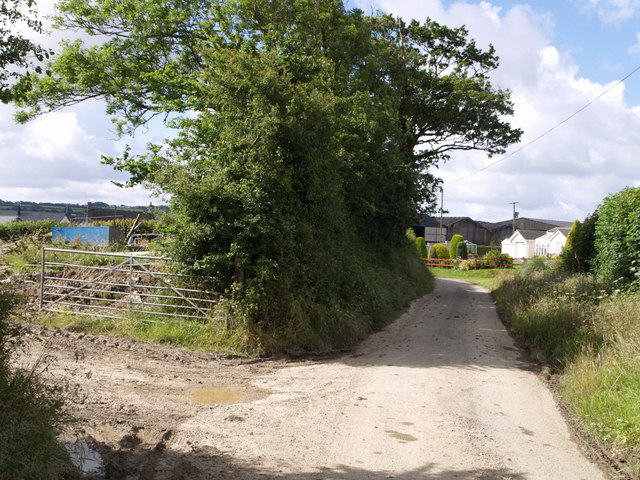 File:Approaching Norley - geograph.org.uk - 493547.jpg