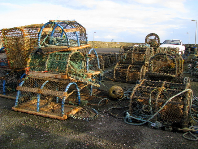 File:Creels, Ballywalter harbour - geograph.org.uk - 703078.jpg