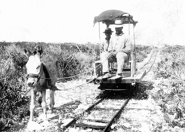 File:Donkey-drawn narrow gauge railway on Mona Island.jpg