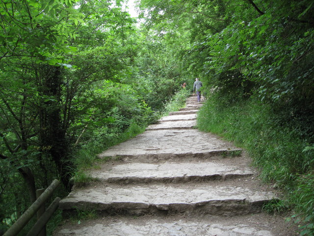 Dovedale - Climbing up to Lover's Leap - geograph.org.uk - 861223