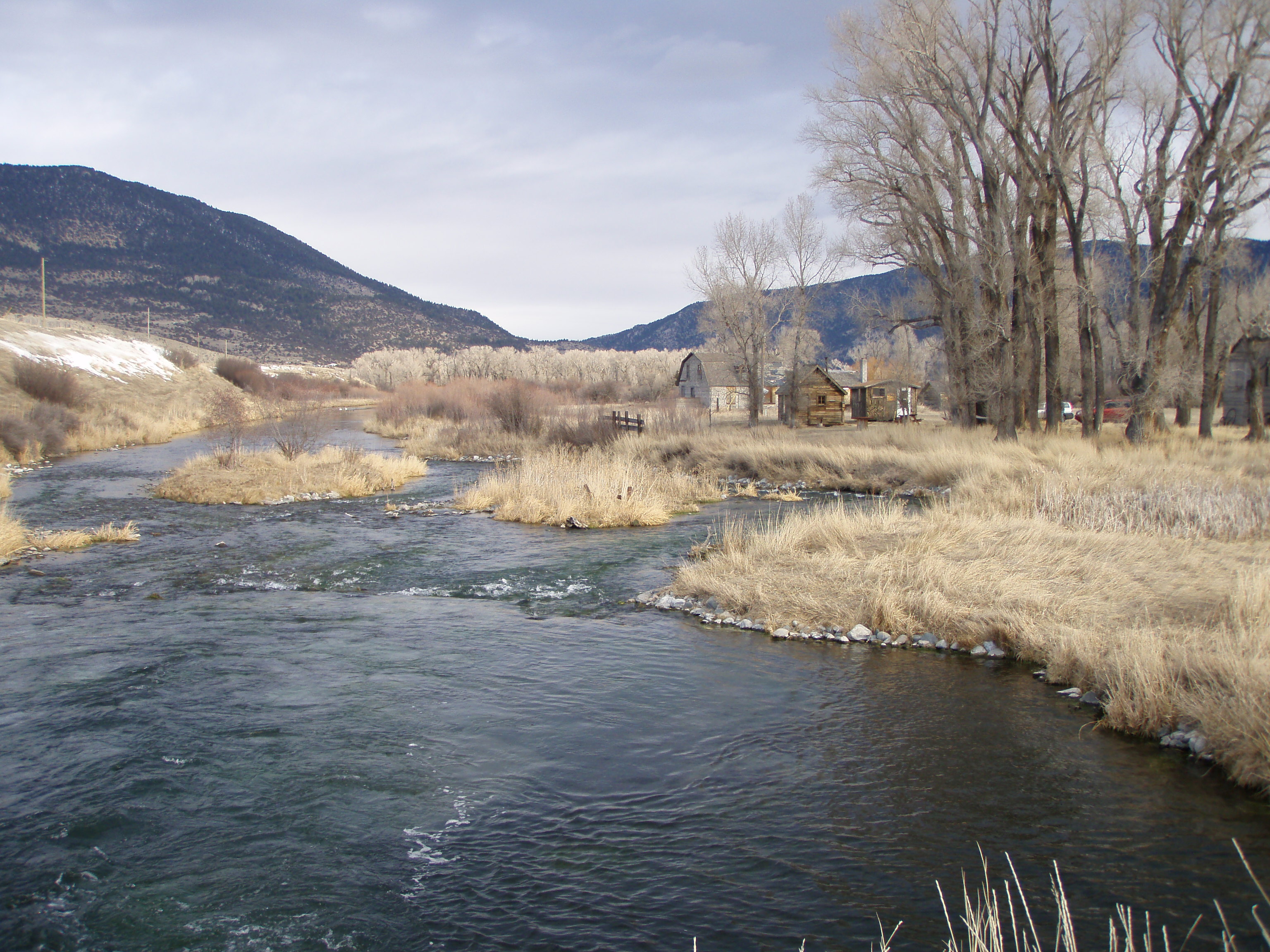 Big Brown Trout in DePuy's Spring Creek - Montana Fly Fishing Guides