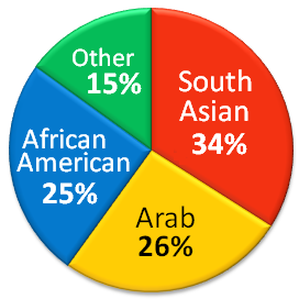 File:Ethnic composition of Muslim Americans.png