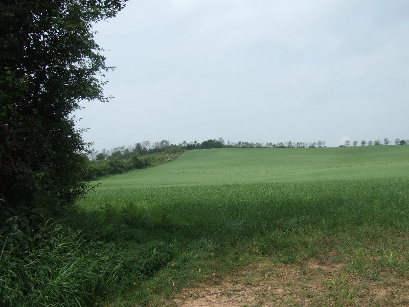 File:Field south of White Cross - geograph.org.uk - 2392624.jpg