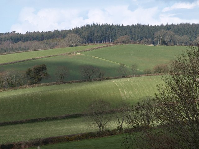 File:Fields above Harcombe - geograph.org.uk - 749069.jpg