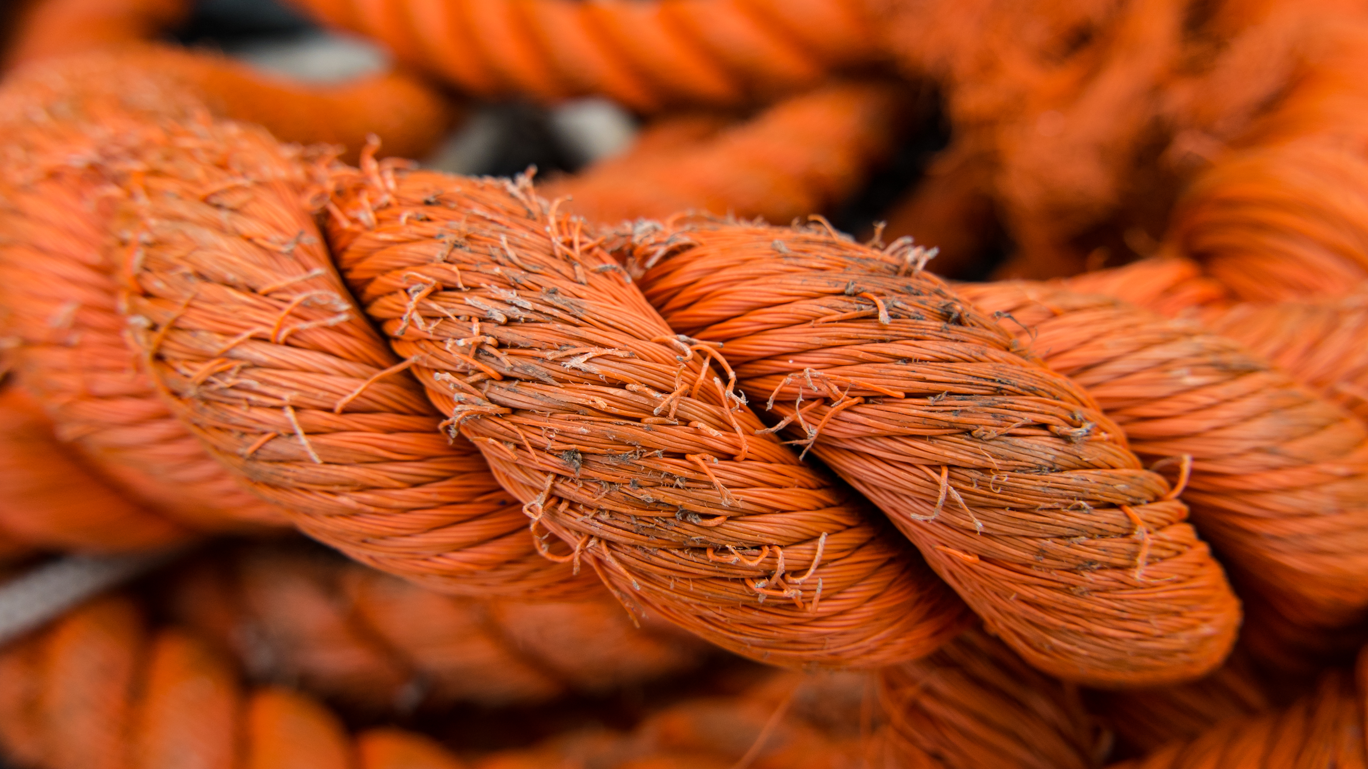 File:Frayed rope (Unsplash).jpg - Wikimedia Commons