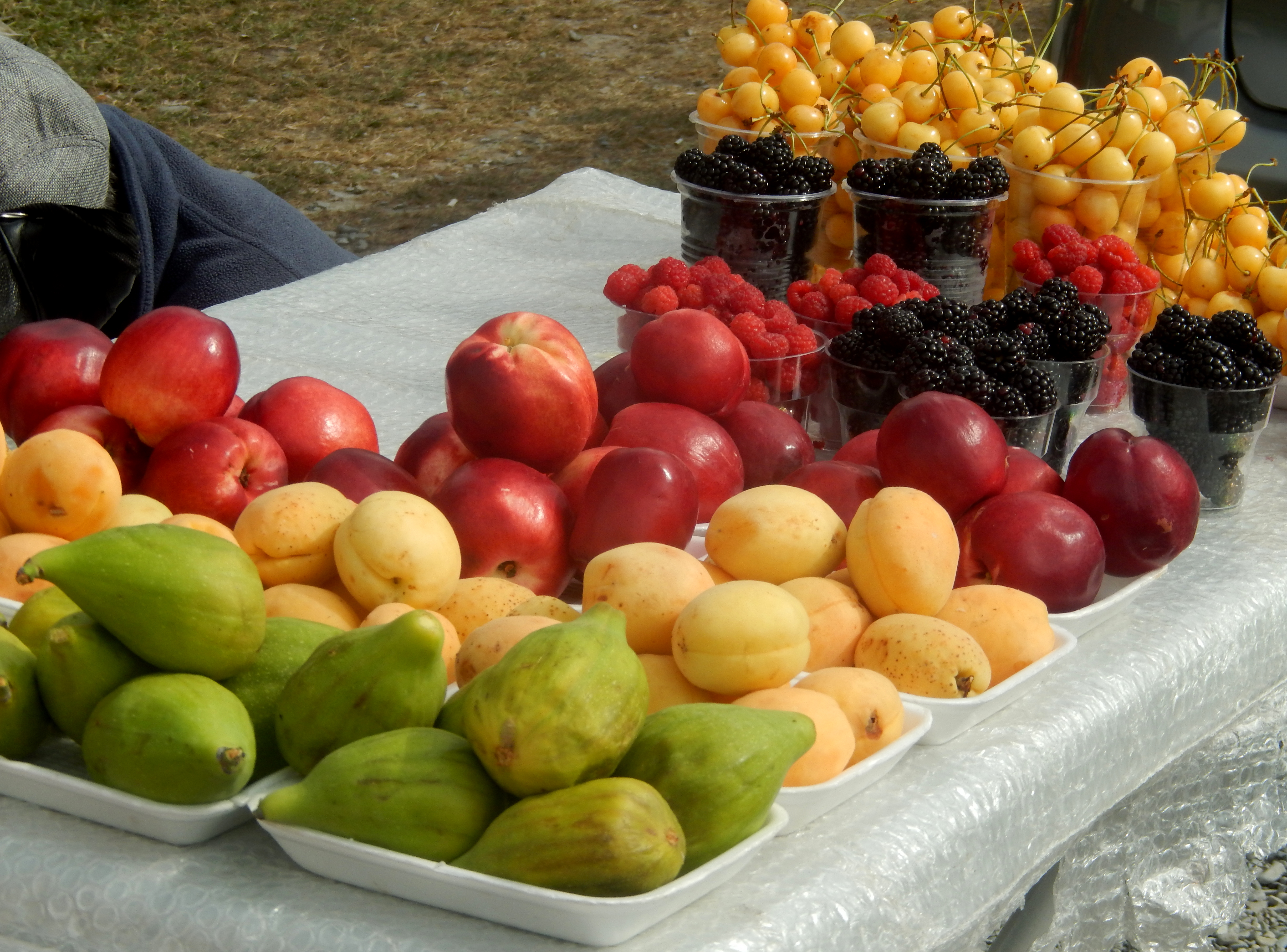 Superhuman fruit. Родина фруктов. Ученые и фрукты. Фрукты в одном месте. Родина фруктов (и..е..еду).