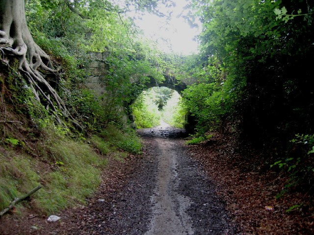 File:Hidden bridge in Thickthorn Wood - geograph.org.uk - 31889.jpg