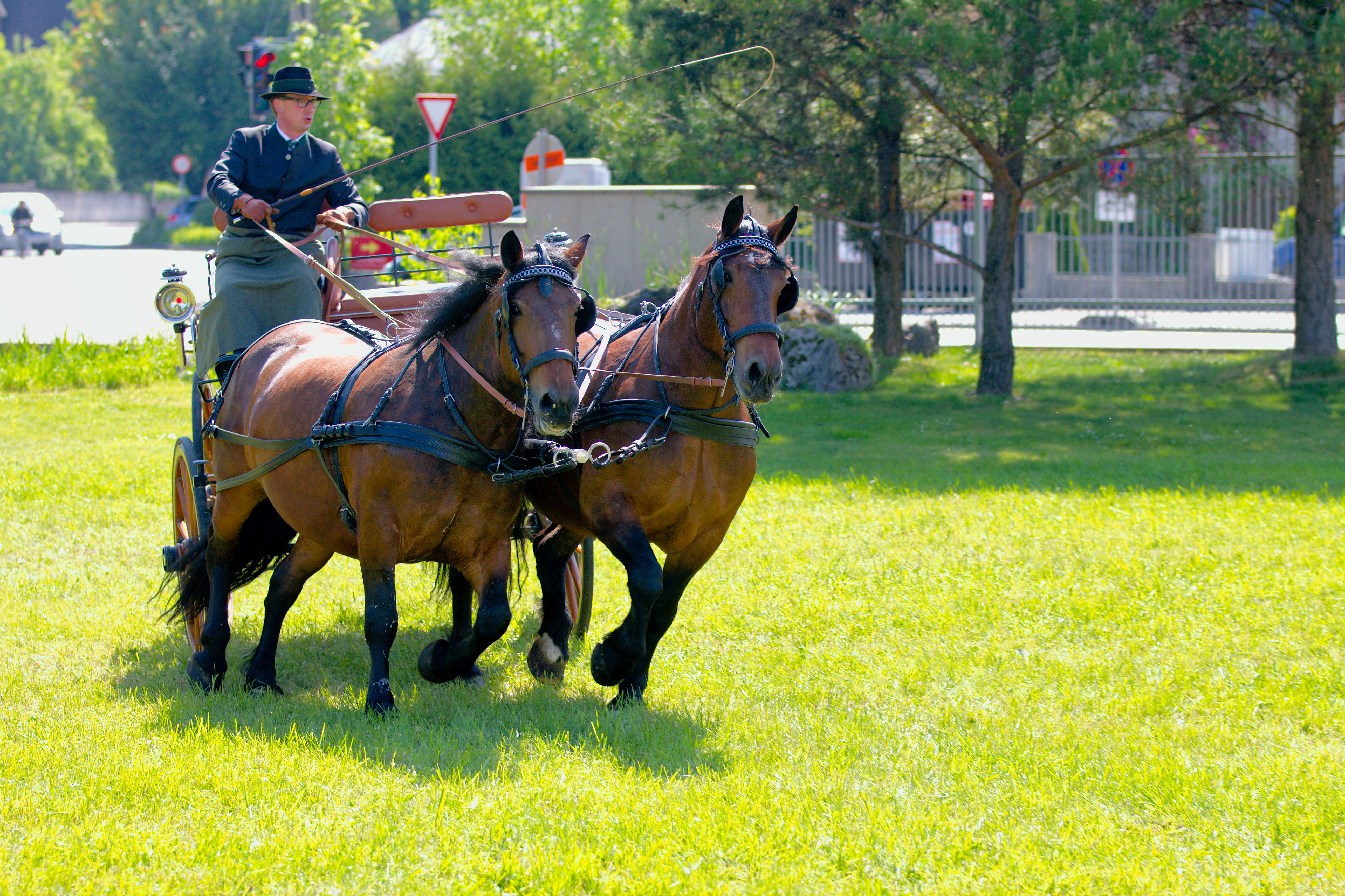 Driving horse