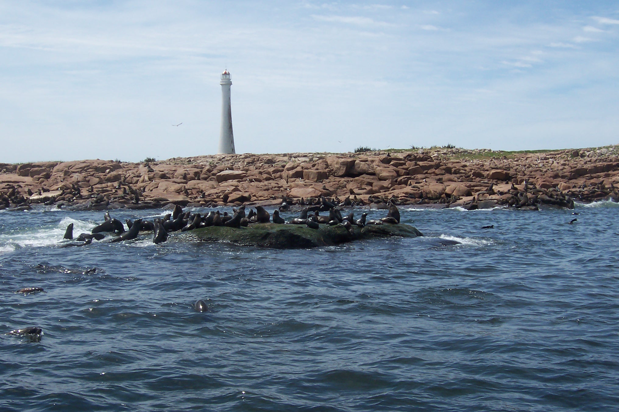 File:Isla de Lobos (Uruguay).jpg - Wikimedia Commons