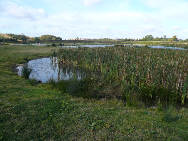 File:Kiveton Waters Fishery - geograph.org.uk - 575816.jpg