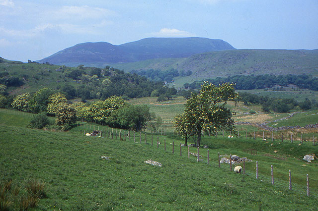 Line of old railway near Arenig - geograph.org.uk - 1087478