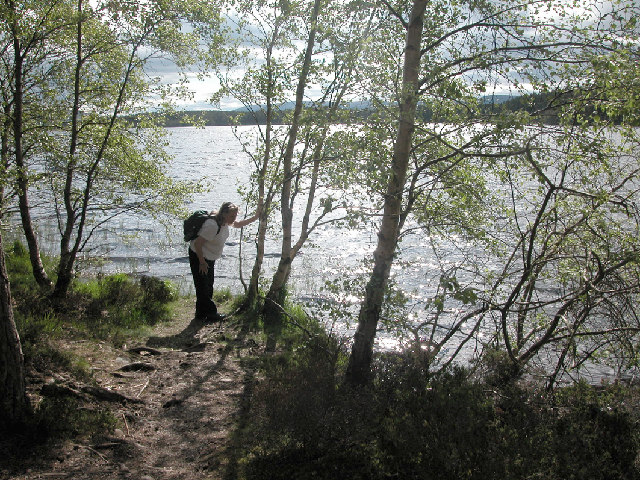 File:Loch Garten - geograph.org.uk - 33098.jpg