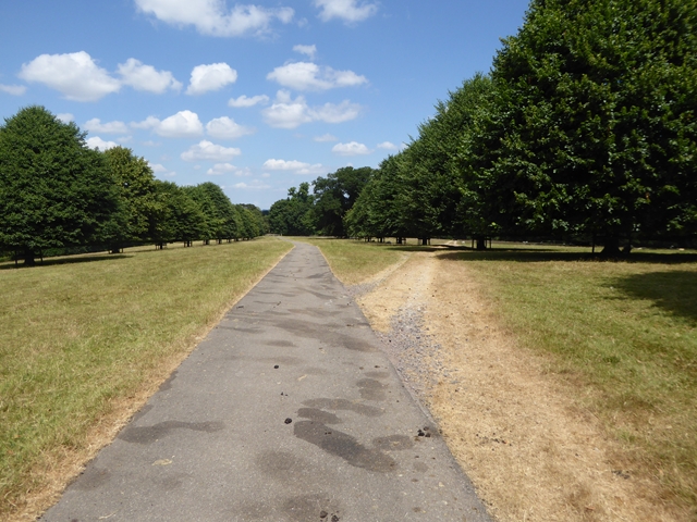 File:Main driveway in Melbury Park - geograph.org.uk - 5845360.jpg