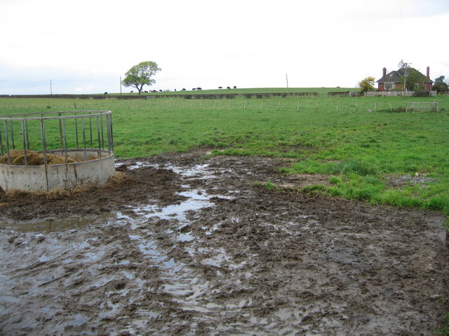 File:Fields and hillock - geograph.org.uk - 502827.jpg - Wikipedia