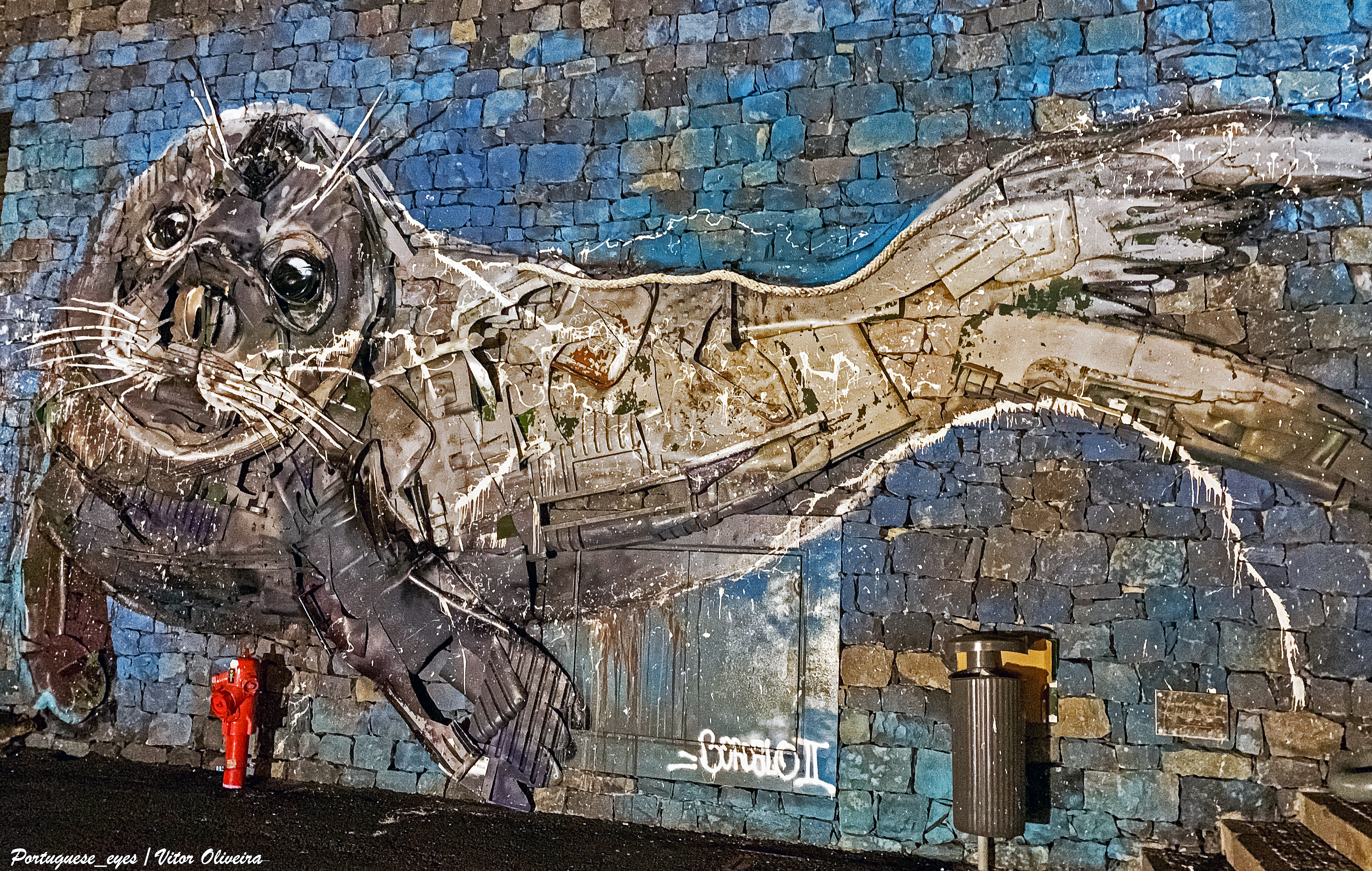 File:Obra de Bordalo II - Câmara de Lobos - Portugal (51417293633).jpg -  Wikimedia Commons