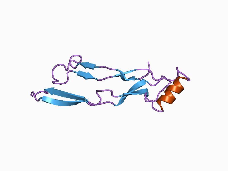 7 bone. Морфогенетический белок (bmp). Костный морфогенетический белок. Костный морфогенетический белок bmp. Костные морфогенетические белки (ВМР).