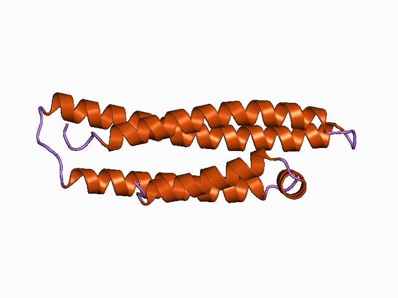 File:PDB 1bz4 EBI.jpg