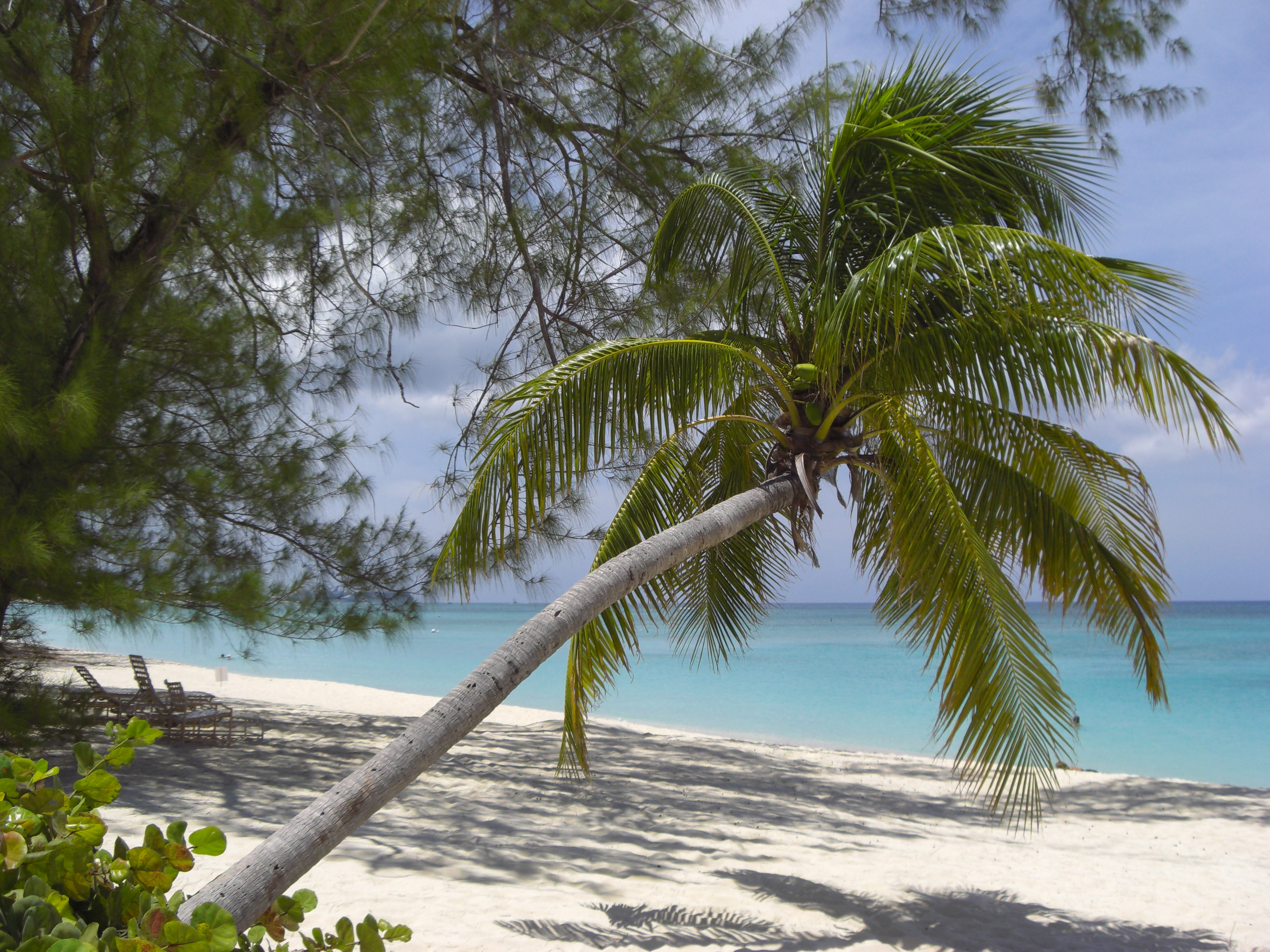 Islas Caiman, Resorts todo incluido 3