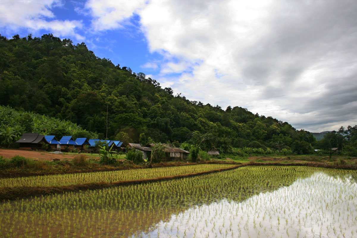 What country does rice come from?