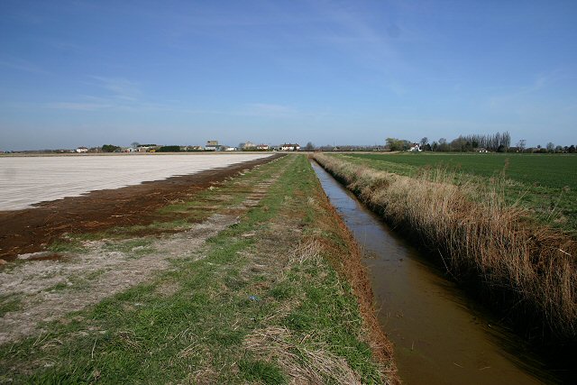 File:Sedge Fen - geograph.org.uk - 368904.jpg