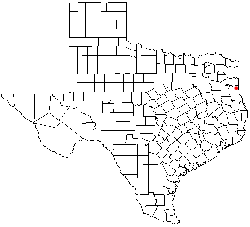 Location of DeBerry in the state of Texas. TXMap-doton-DeBerry.png