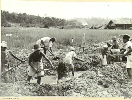 File:Tarakan labourers (089755).jpg