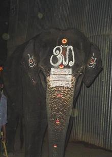 File:Temple elephant 2.jpg