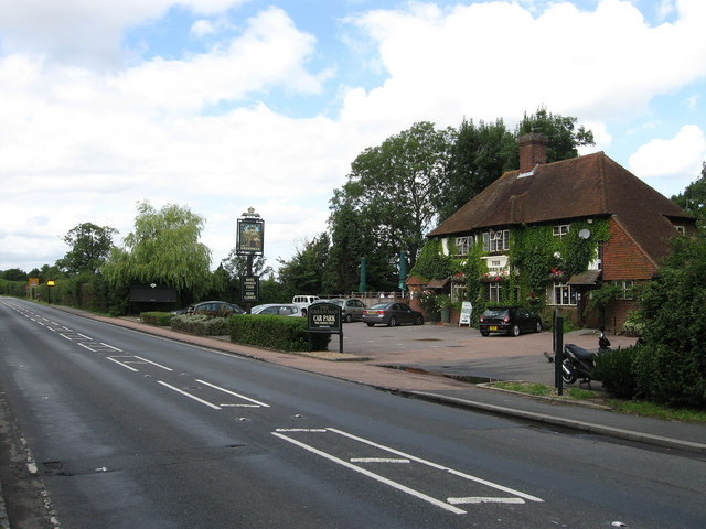 File:The Green Man - geograph.org.uk - 1428231.jpg