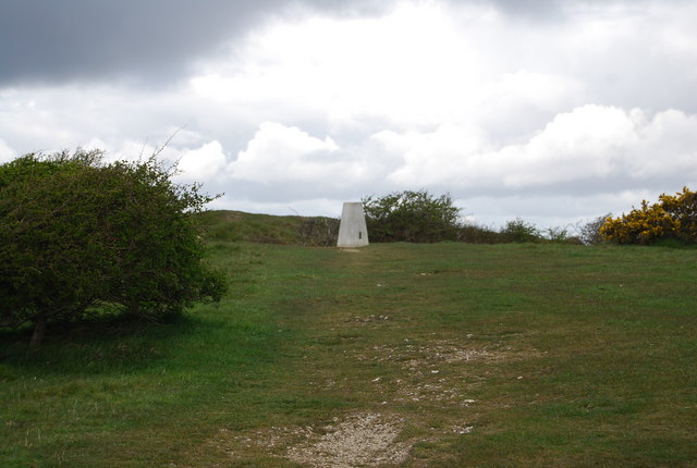 File:Trig point on top of Ballard Down - geograph.org.uk - 766393.jpg