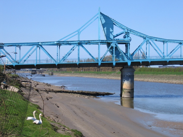 File:Two Swans and the Queensferry Bridge - geograph.org.uk - 410766.jpg