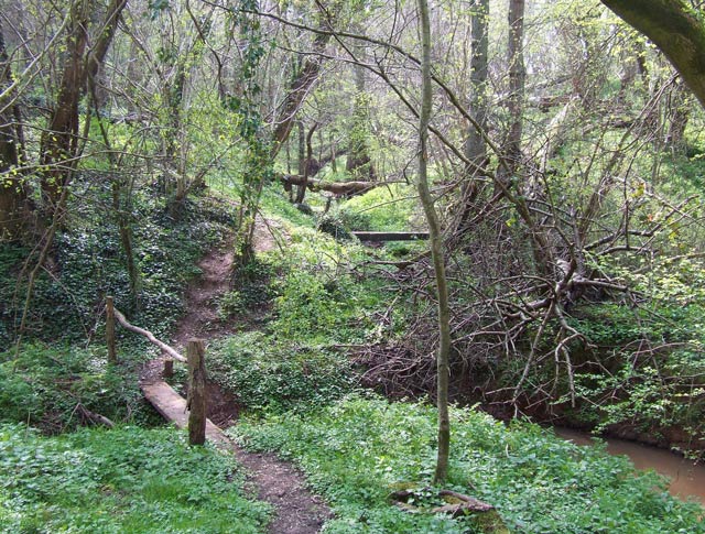 File:"And Across the Rickety Bridge" - Bowhills, Shropshire - geograph.org.uk - 399846.jpg