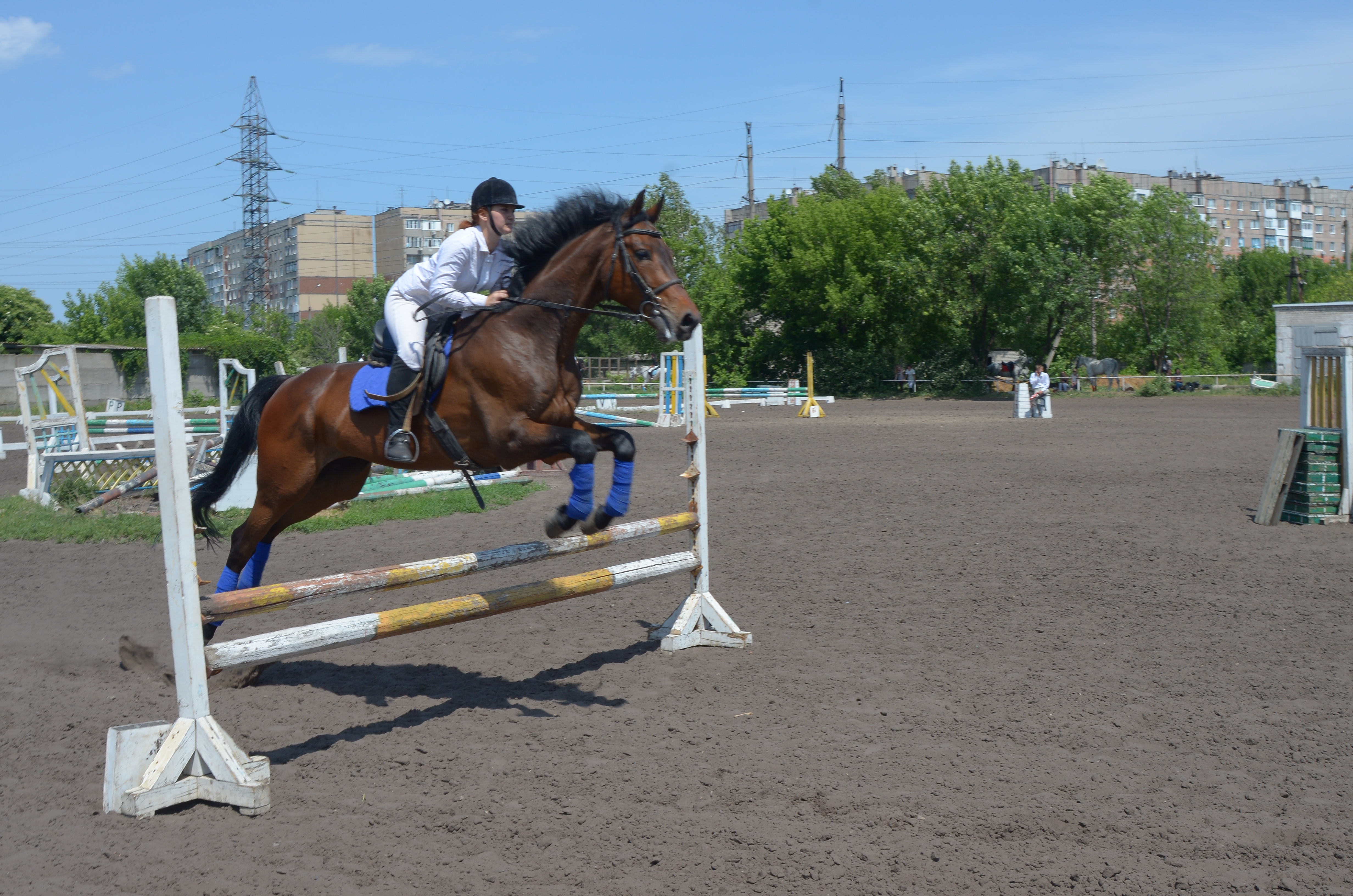 Верховая 1 6. Конно спортивная школа Локомотив Донецк. Конно-спортивная база МБУ "спортивный комплекс "Буденновец.