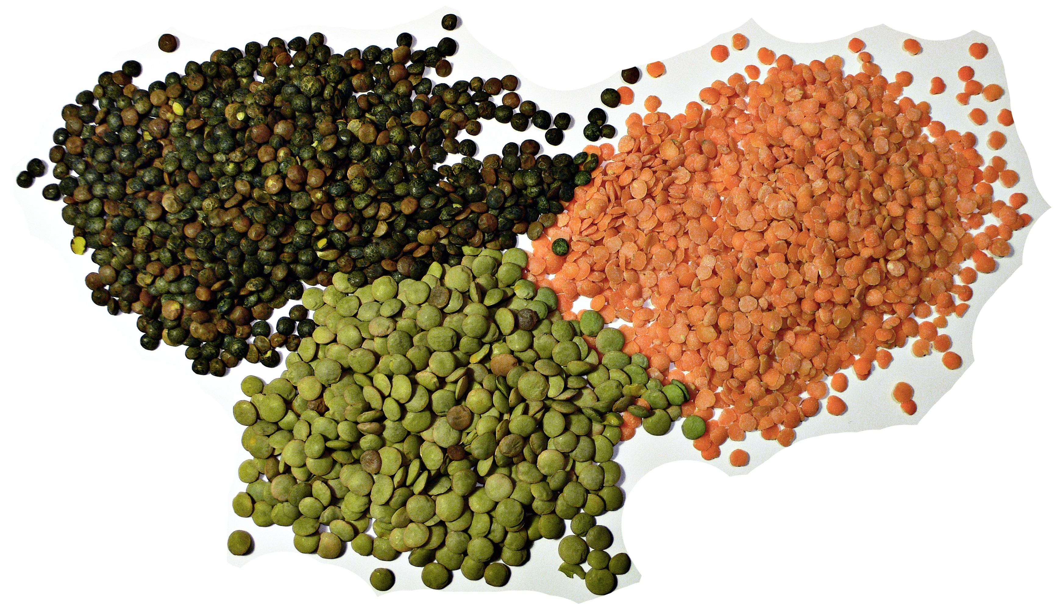 Lentils - lovelocal.in