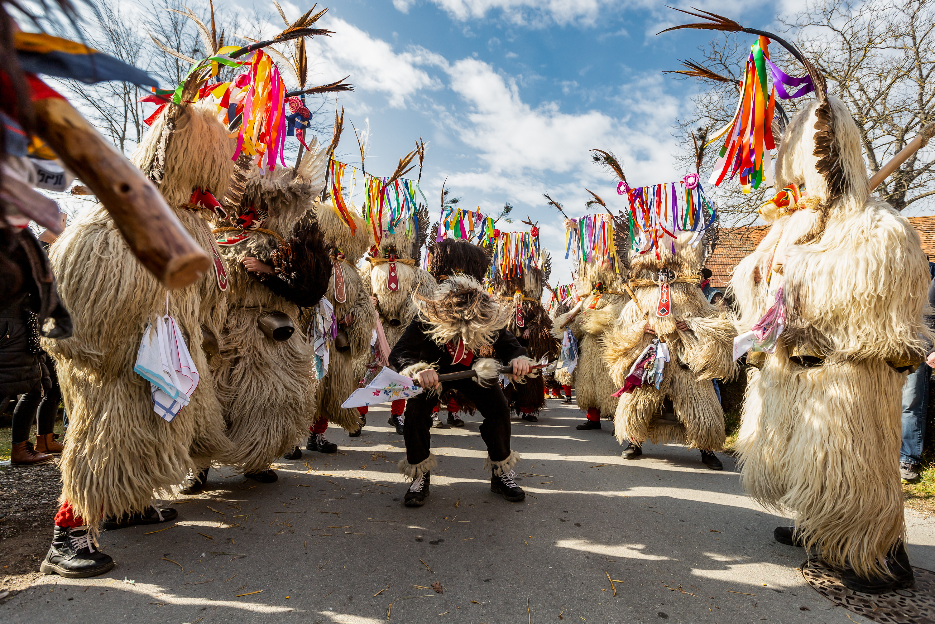 The Carnival of the Animals - Wikipedia