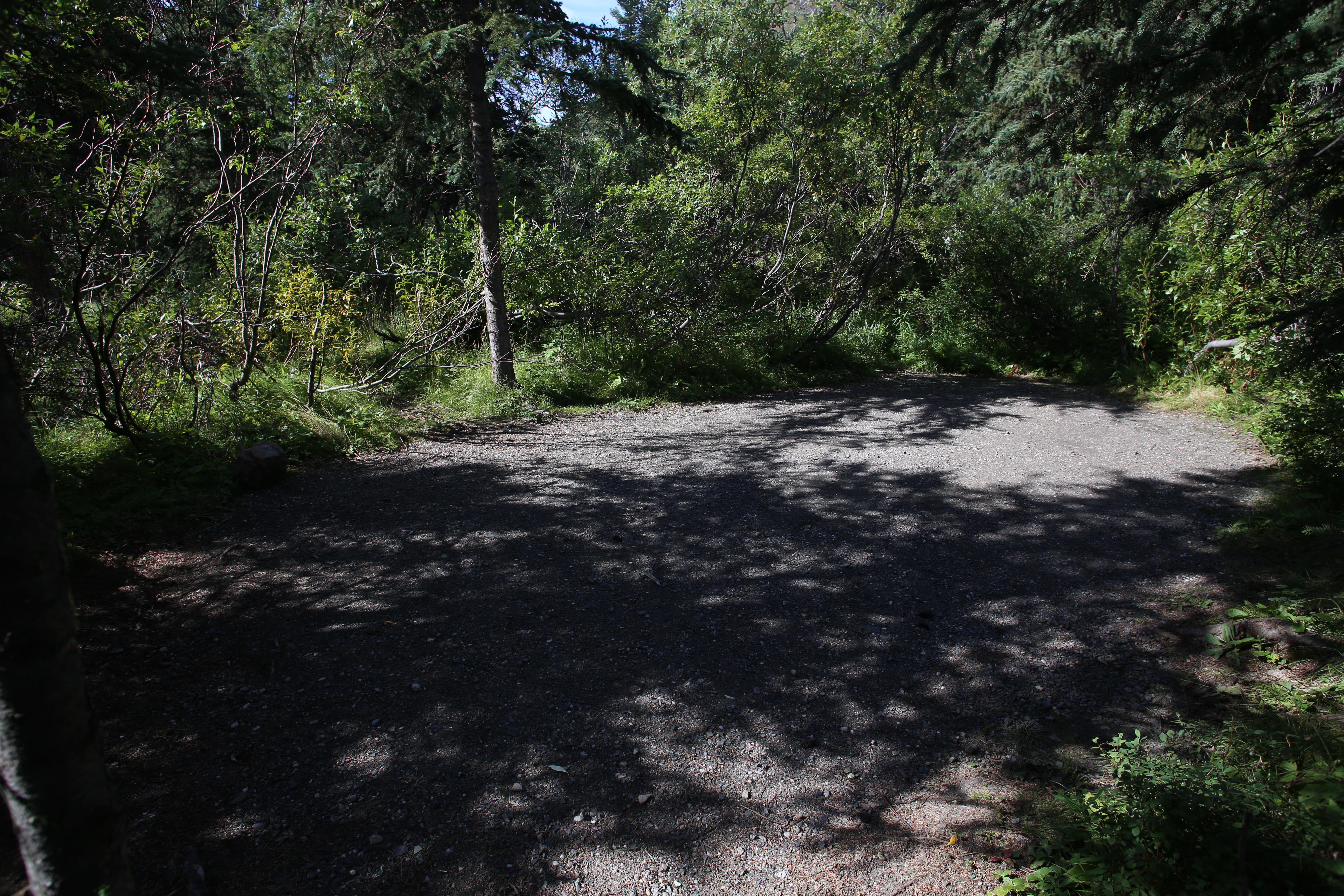 File:An empty campsite in Igloo Creek Campground (8acdce71-2