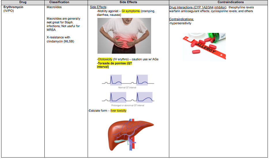 Warfarin Antibiotic Interaction Chart