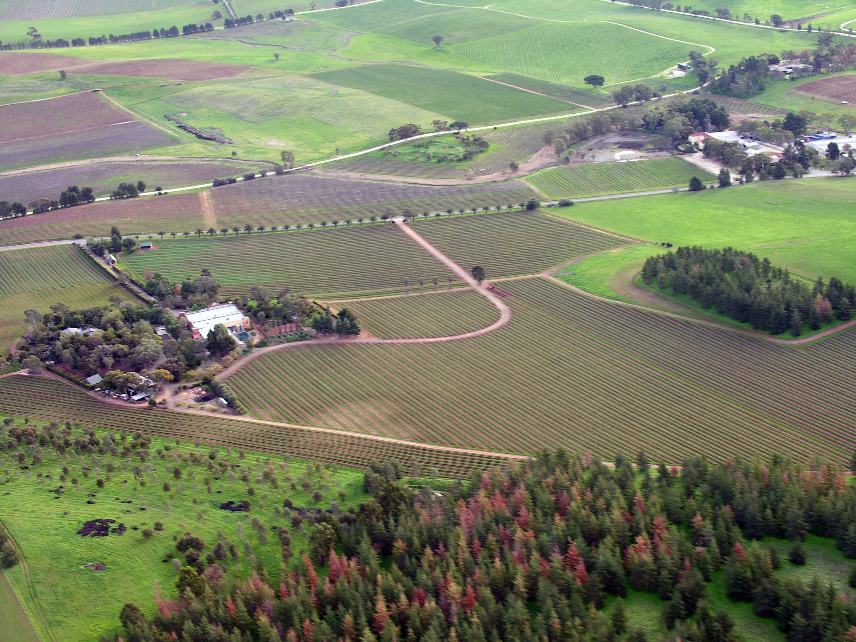 barossa