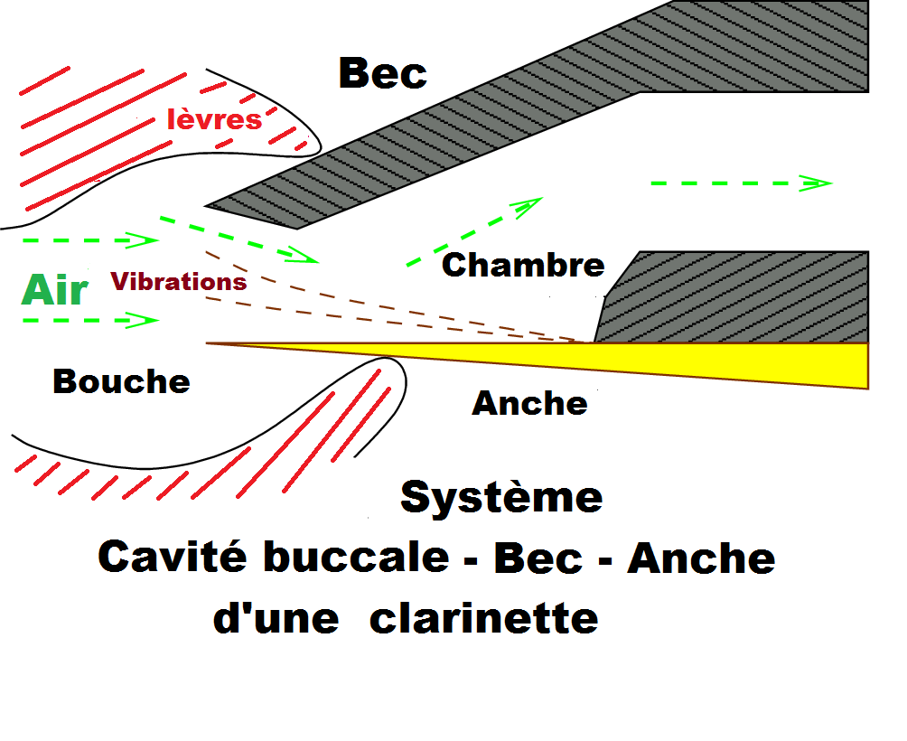 File:Bec-Anche-Clarinette.png - Wikimedia Commons