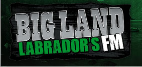 File:Big Land FM Logo.jpg