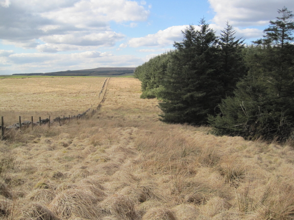 File:Bridleway over Waterhead Common - geograph.org.uk - 1847572.jpg