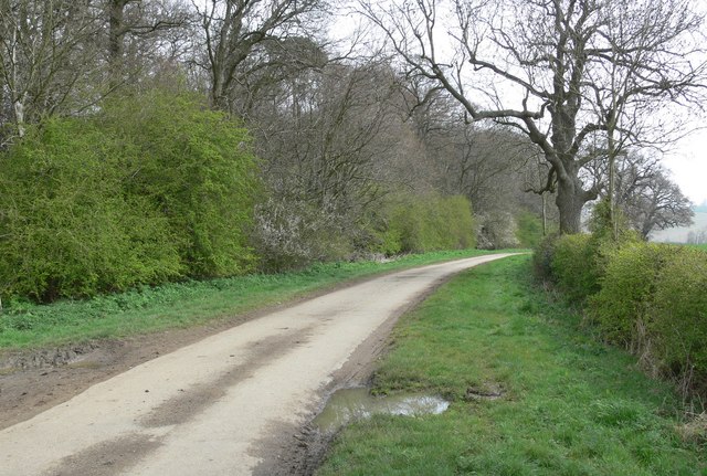 File:Burrough Road and Landfield Spinney - geograph.org.uk - 774129.jpg