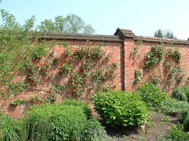 Churchill's Wall, Chartwell - geograph.org.uk - 809426