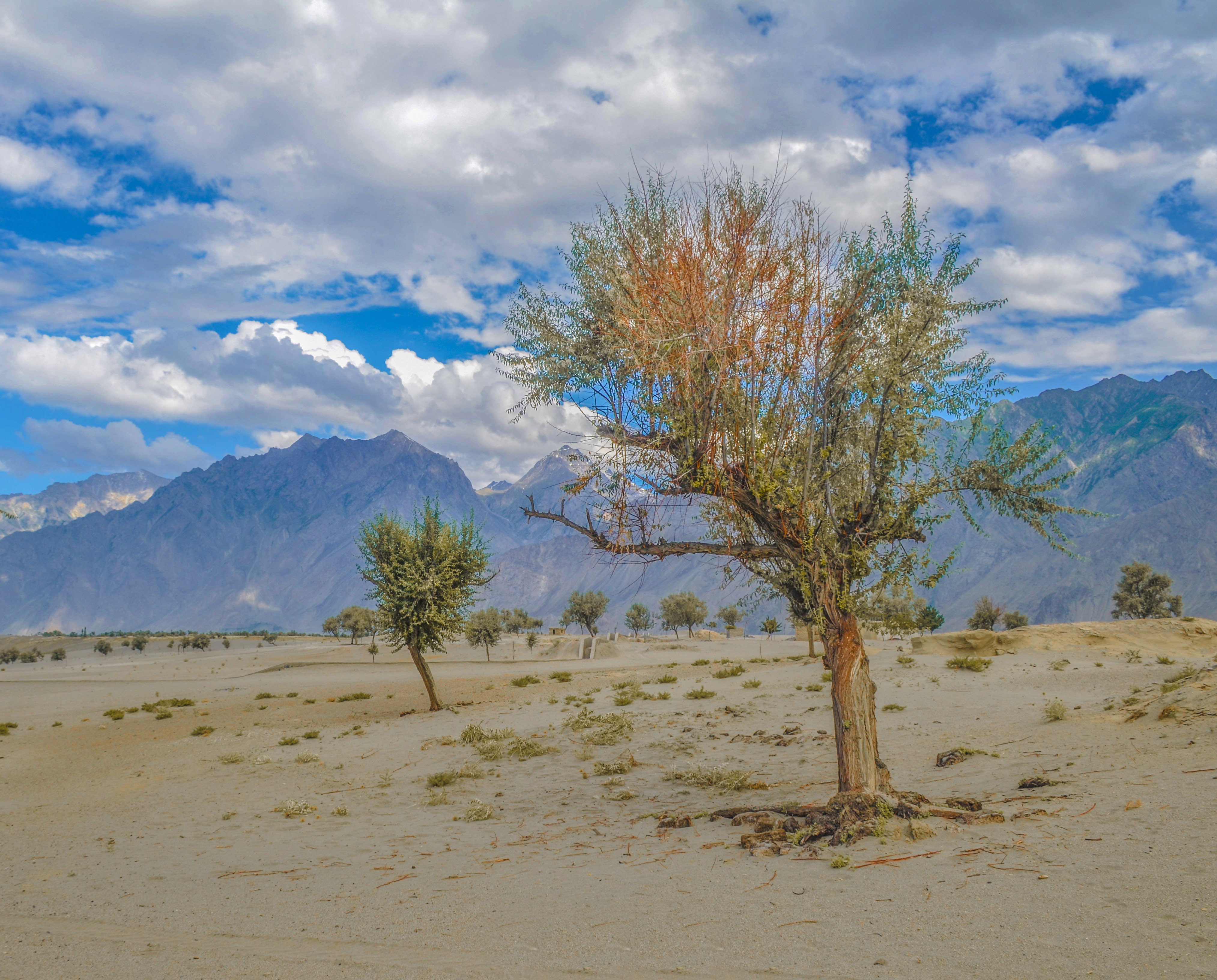 Cold desert. Skardu Desert. Cold Desert (Biosphere Reserve).